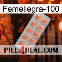 Femalegra-100 26